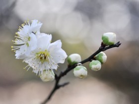 该你走的路，要自己去走，别人无法替代