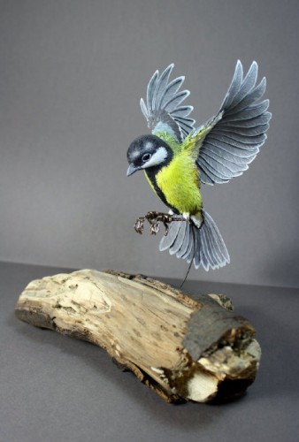 艺术家用纸和木头打造飞鸟 惟妙惟肖