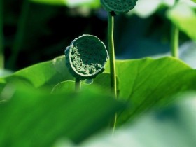 想要忘记一段感情，方法就是：时间