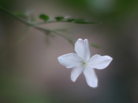 人生，总是始料不及