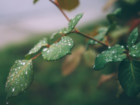 只要你勇于面对抬起头来，就会发现，分数的阴霾不过是短暂的雨季