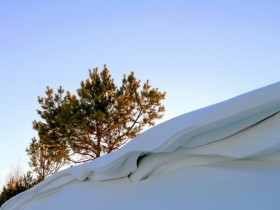 雪落在地上，那么纯洁，那么晶莹