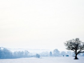 渴望回到儿时少年，心如雪，洁白、无瑕、澄澈