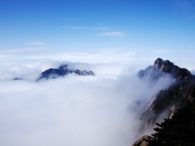 静本就是最美的情愫，波澜不起，宁静祥和