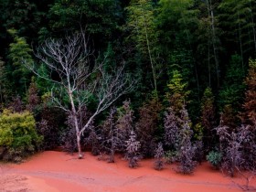 经的起风雨同舟却经不起平凡