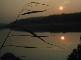 或许这是青春那独具一格的味道，带着一丝丝浓浓的酸意