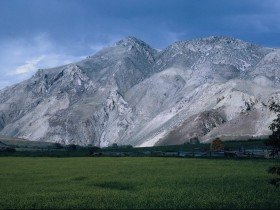 这个世界逼着人长大，逼着人懂事