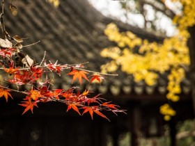 飘起在红尘深处，多少年华，似水静流