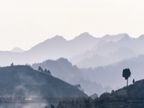 总是这样想着想着，心就暖了，然后又想着想着，心就酸了