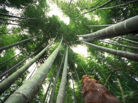 不缅怀无法回头的过去，让生活更快乐