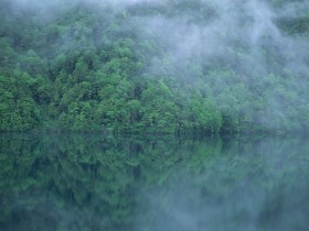 缘分能让人修行内心，离开能让一个人改变思维的看法