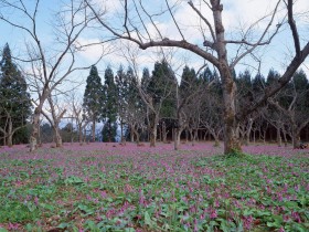 行千山，涉万水，相思路上泪两行