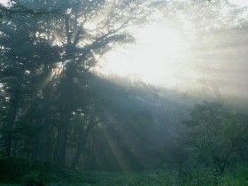 枝节的，多余的，该放弃的都要放弃