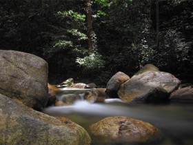 秋蝉留下的一页悲怅的曲谱